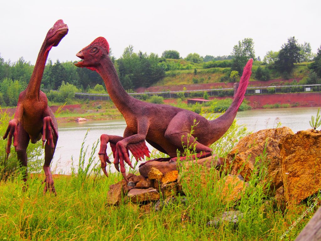 dinozaury Krasiejów