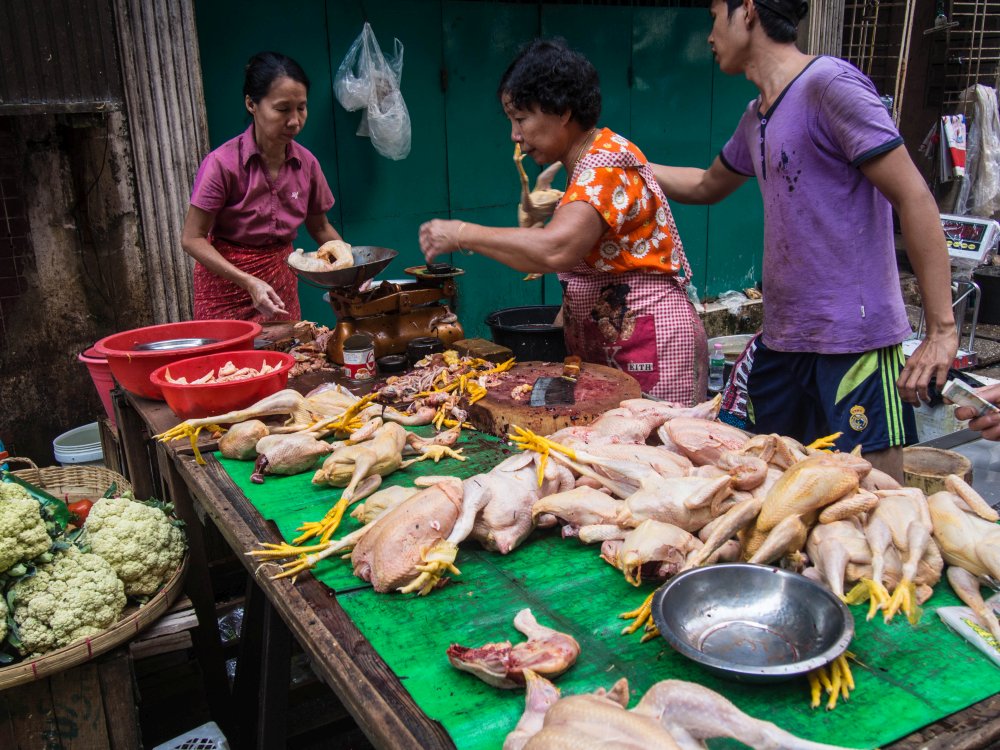 targi w azji, zakupy w Birmie