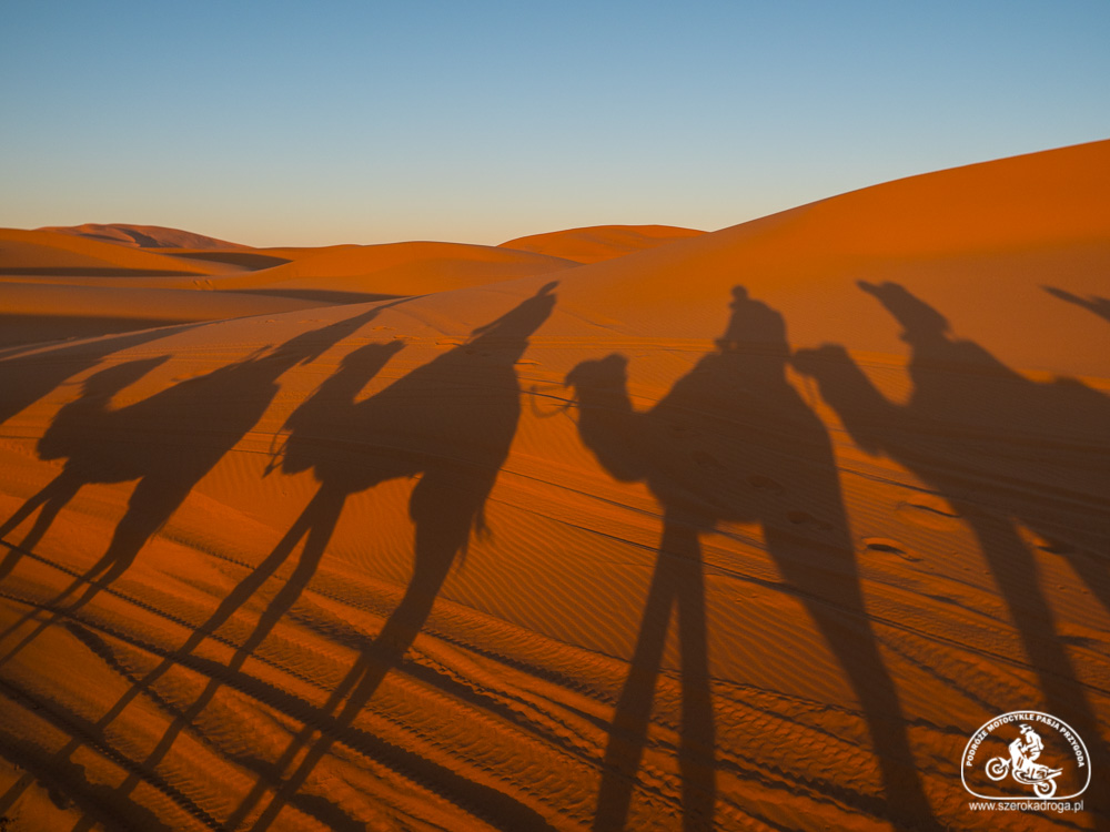Maroko zimą, wycieczka na pustynię