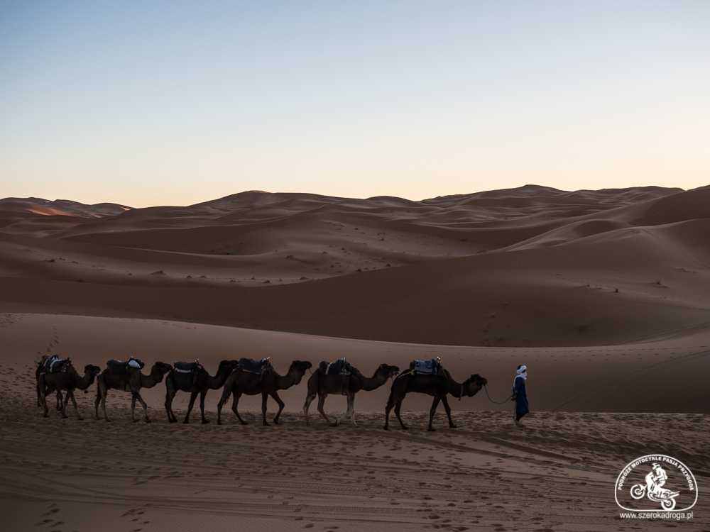 maroko wycieczka na pustynię