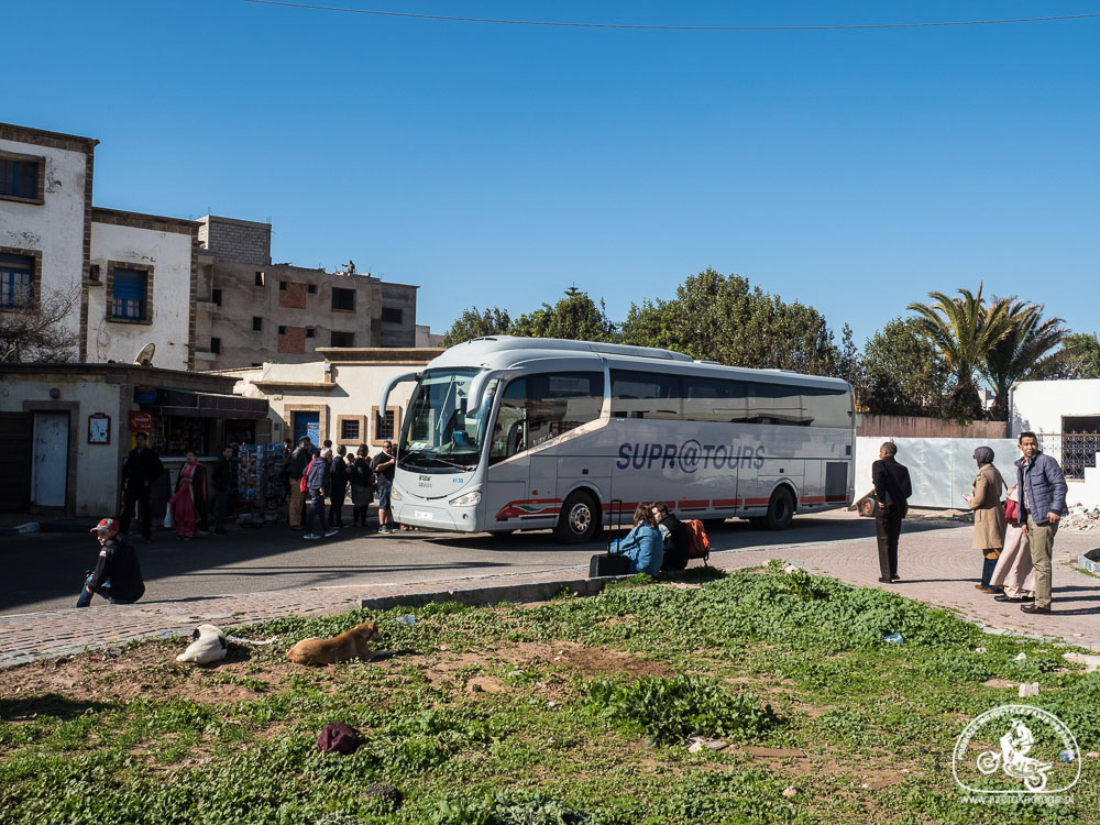 Essaouira dojazd autobus